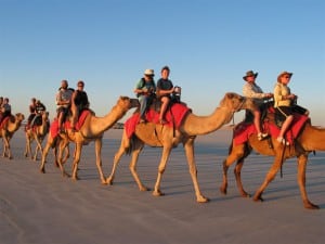 803_Camel-Riding