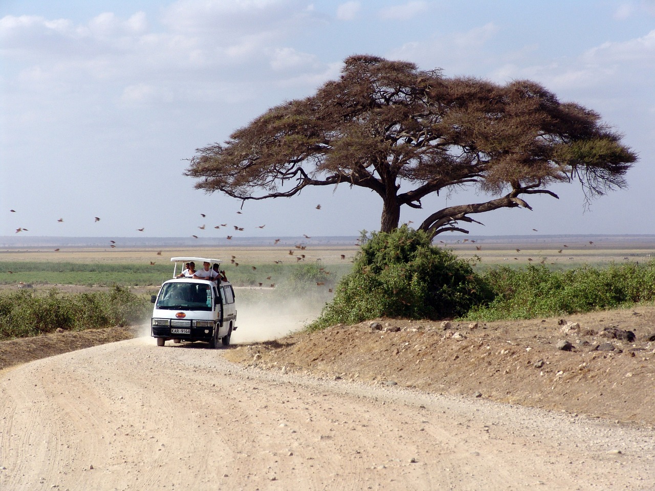 Safari por Kenia- África