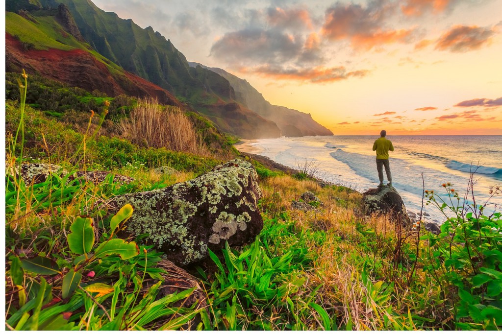 tour los angeles hawaii