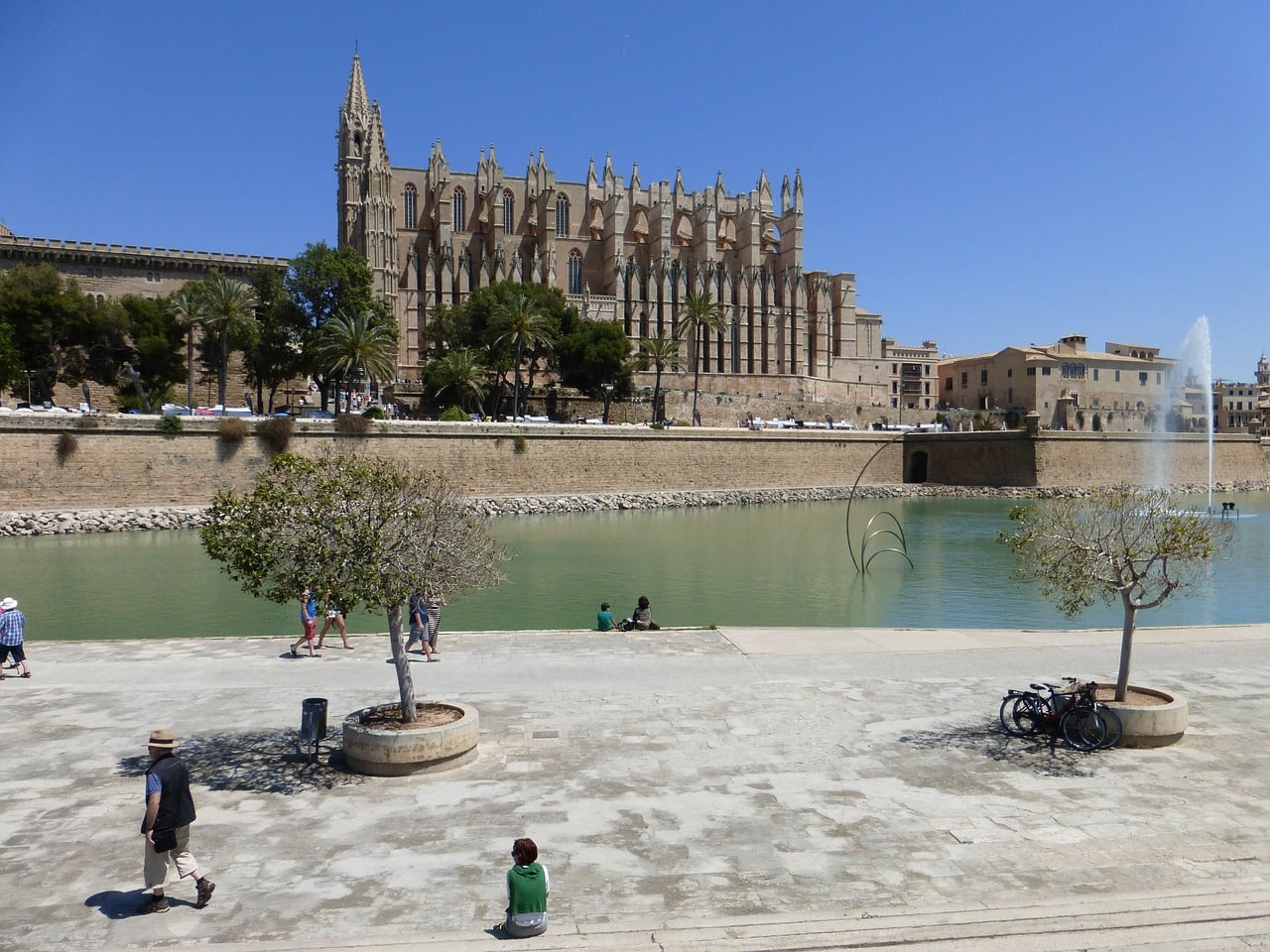 palma-113712_1280