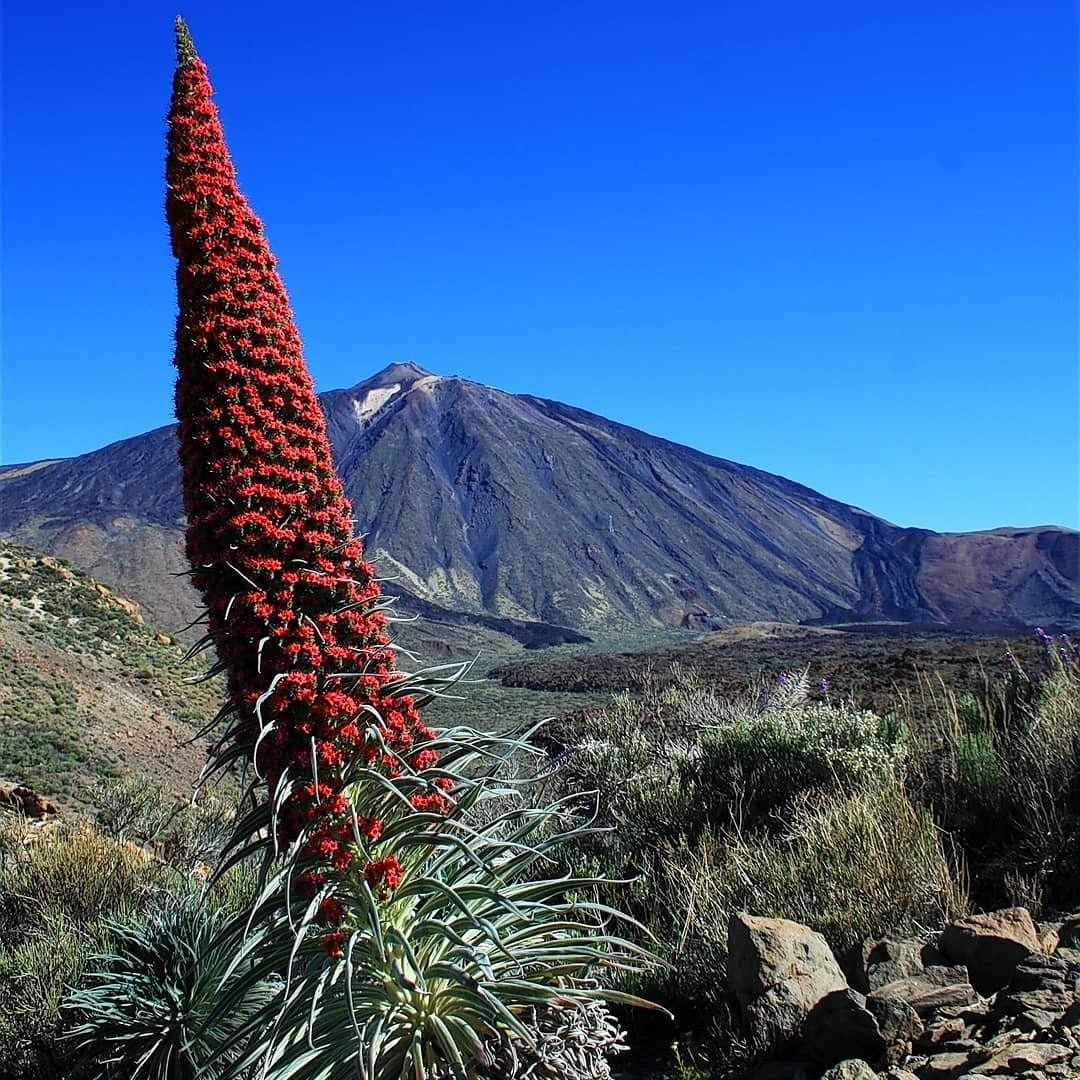 Qué ver en Tenerife: 5 lugares en el Norte de Tenerife