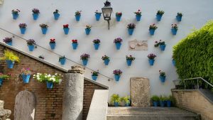 Patios de Córdoba-Interior