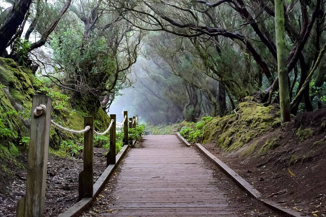 Senderos en Tenerife