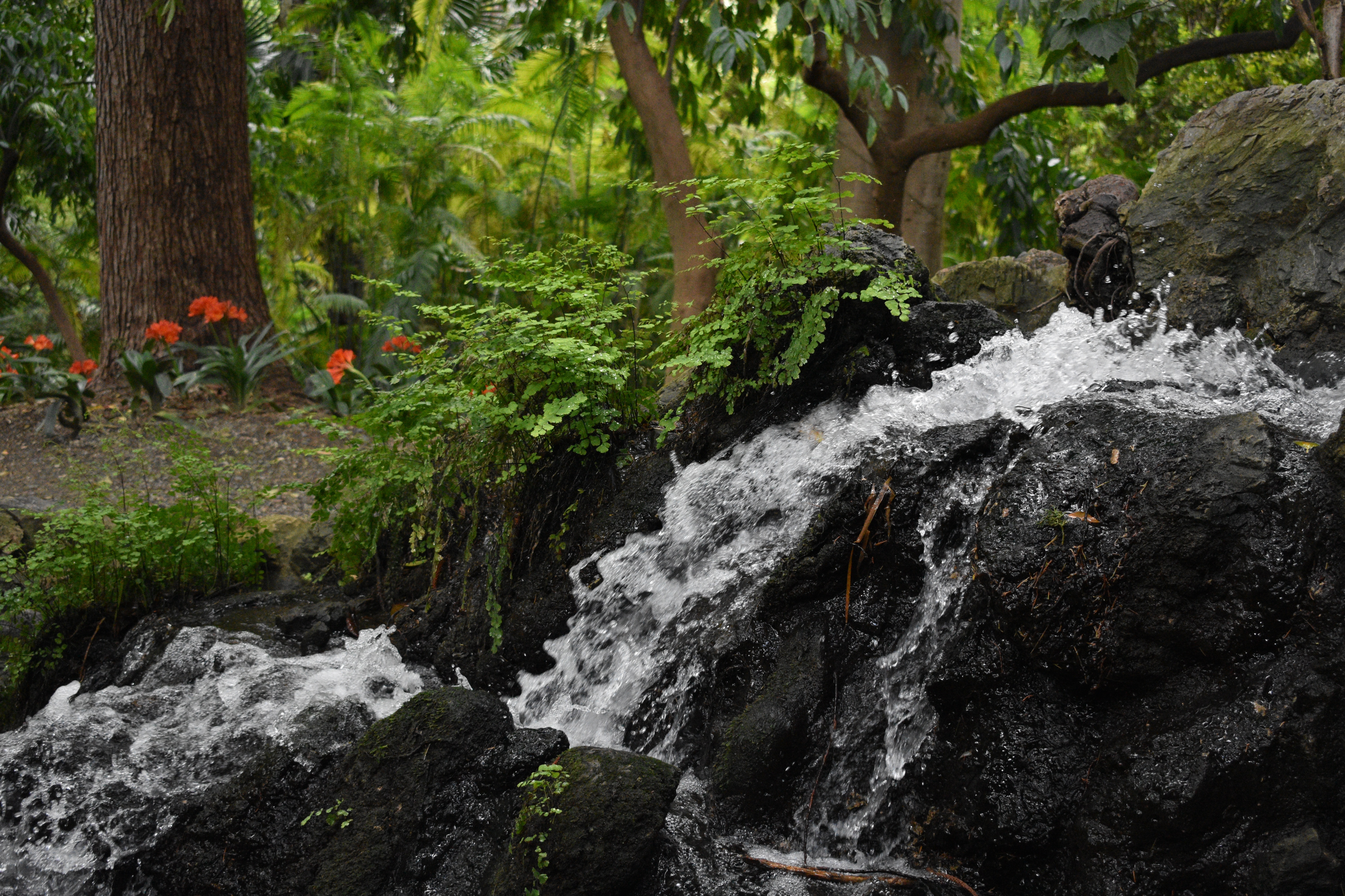 Qué ver en Málaga: Jardines de la Concepción