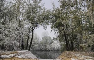 Parque de la Ribera de Castilla en invierno