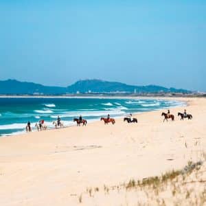 Praia da Comporta, caballos