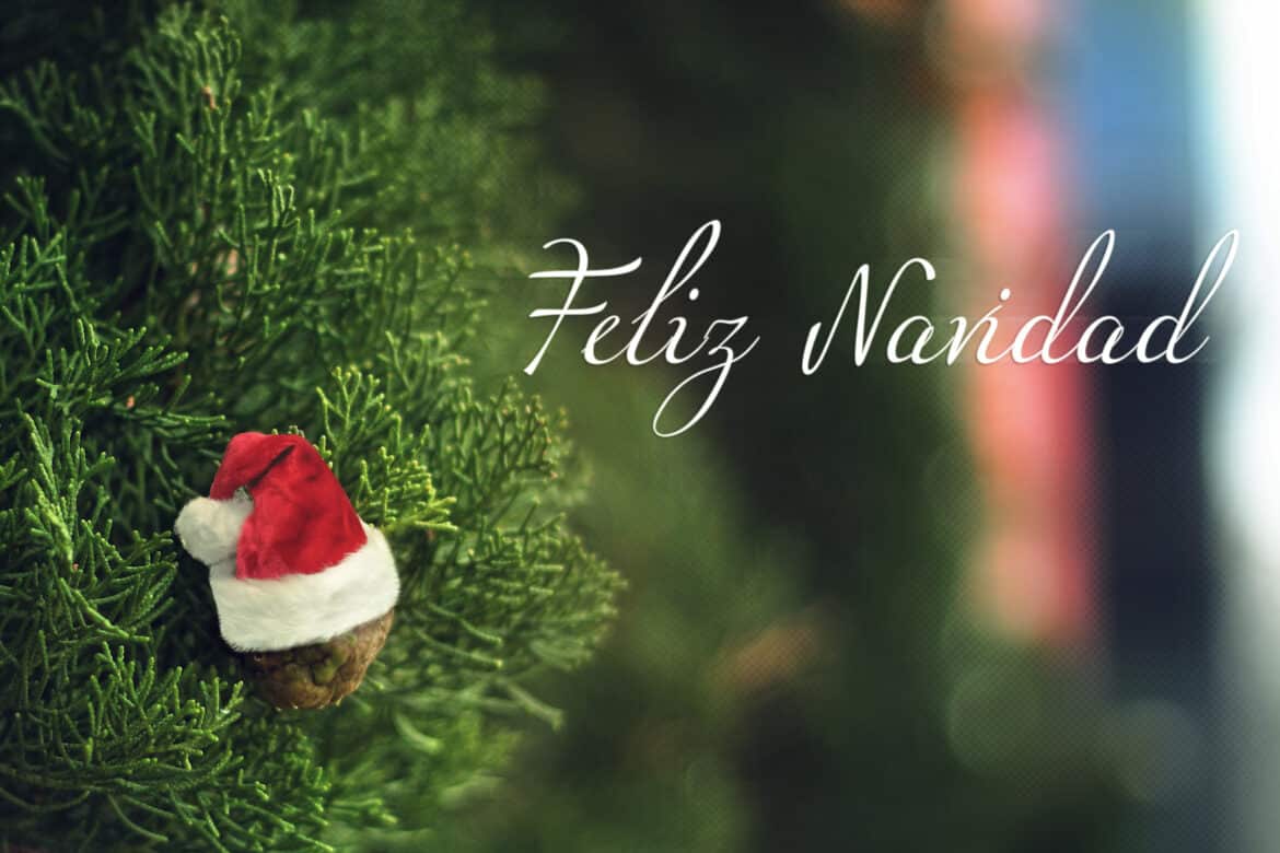 qué hacer en Córdoba en navidad