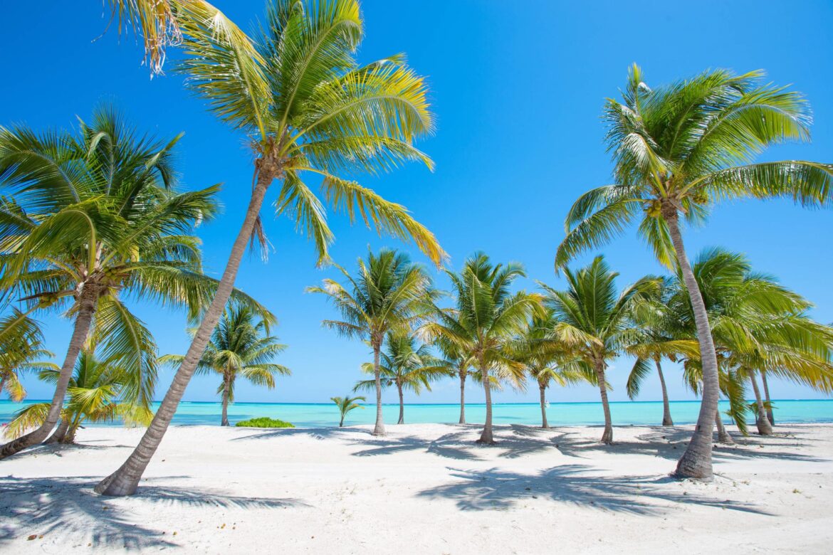 Tropical-beach-with-palm-trees-shutterstock_265093823-e1543393731904