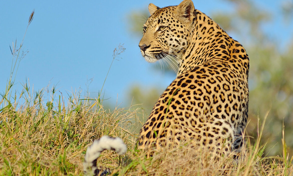 private-tours-cape-town-141-dcb0e49b0b5c08ffa5b79e3f5573a2e8